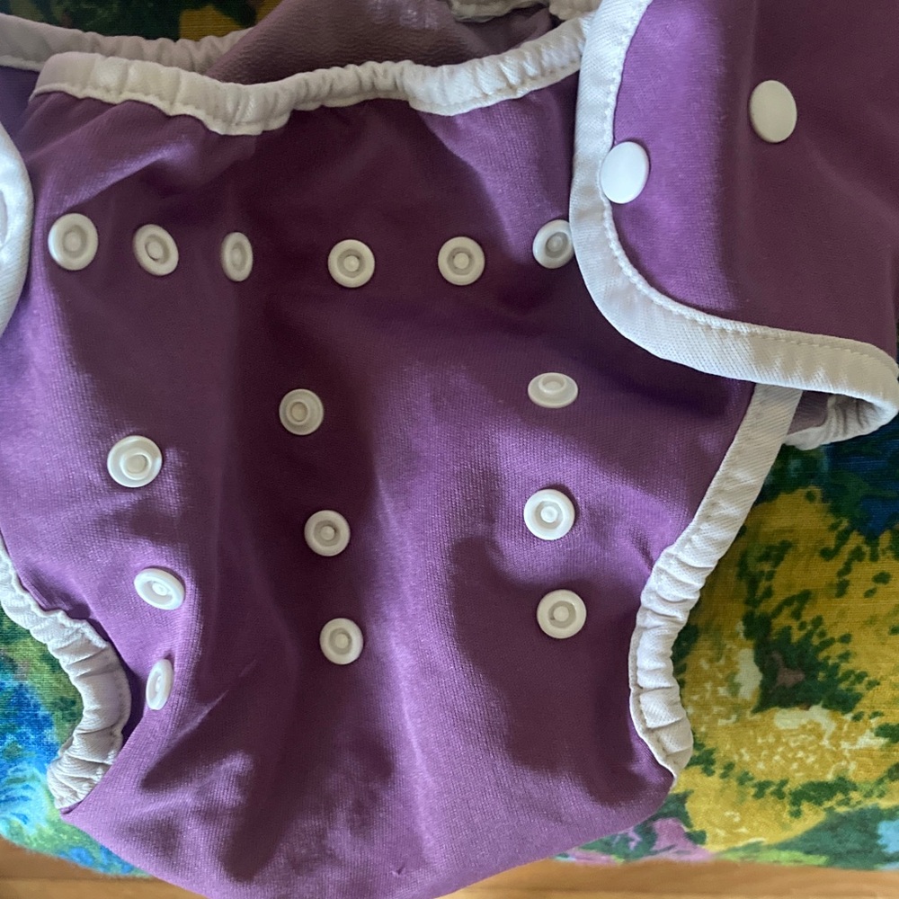Cloth Diaper Bundle - Picture 7 of 9